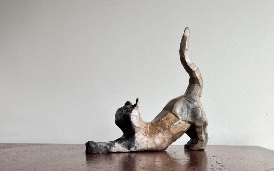 Lazy cat stretch